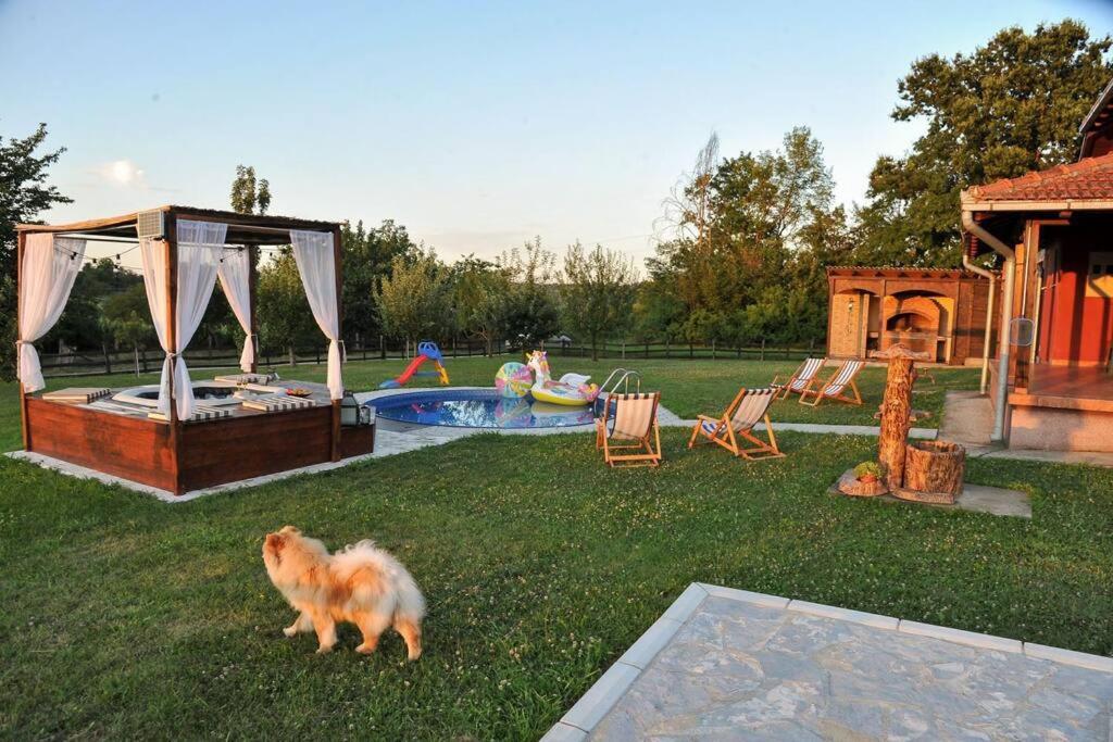 Family House Maksimovic Casa vacanze Valjevo